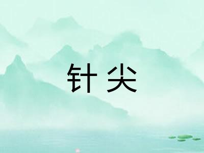 针尖
