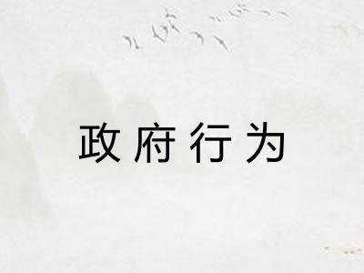 政府行为
