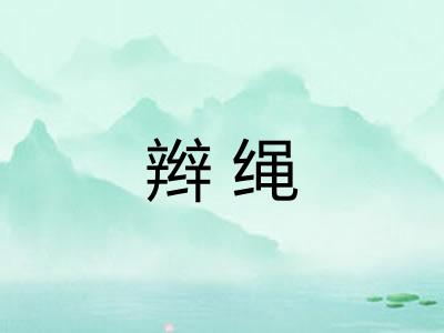 辫绳