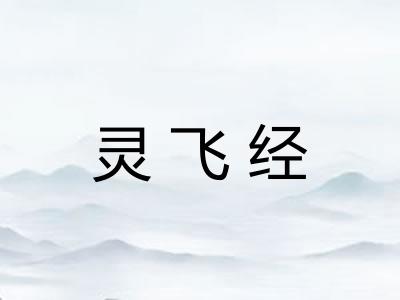 灵飞经