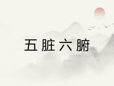 五脏六腑