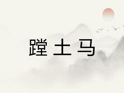 蹚土马
