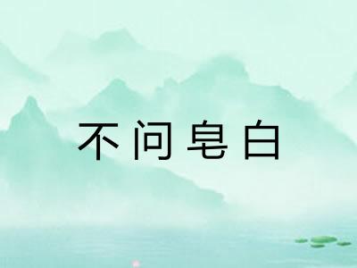 不问皂白
