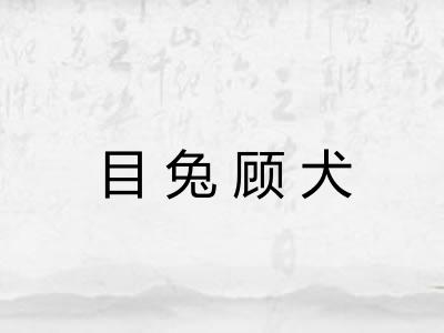 目兔顾犬