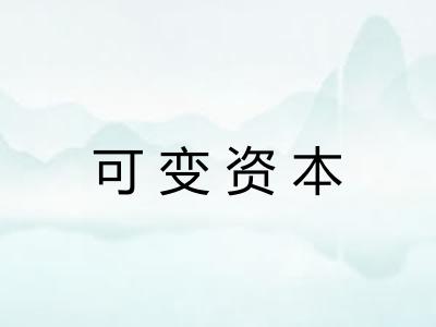 可变资本