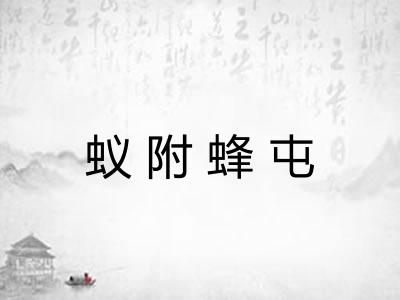 蚁附蜂屯