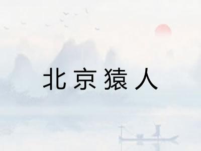 北京猿人