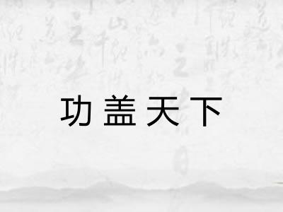 功盖天下