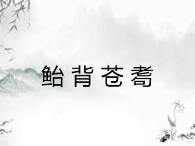 鲐背苍耈