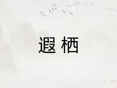 遐栖