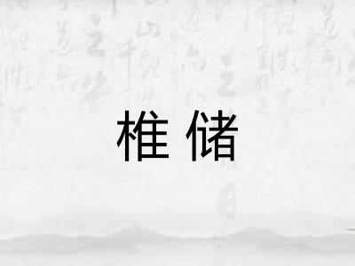 椎储