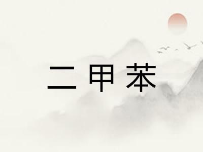 二甲苯