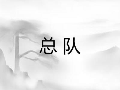 总队