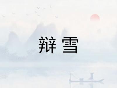 辩雪