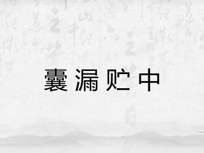 囊漏贮中