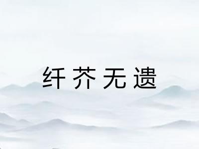 纤芥无遗