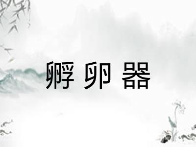 孵卵器