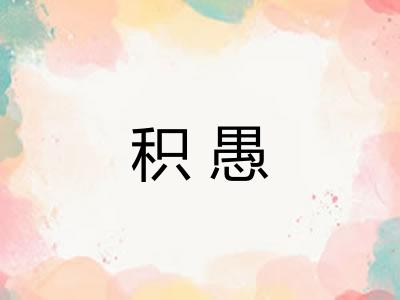 积愚