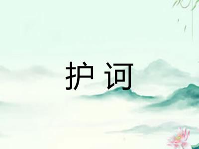 护诃
