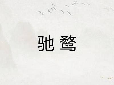 驰鹜