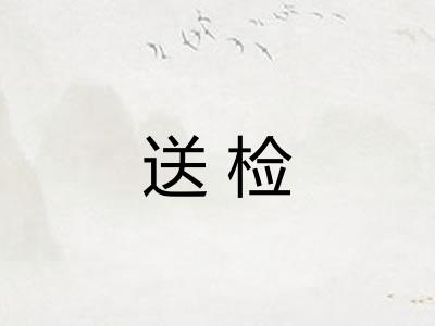 送检