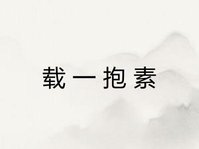 载一抱素