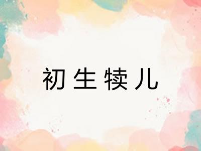 初生犊儿