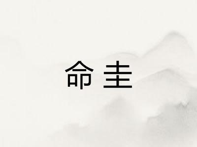命圭