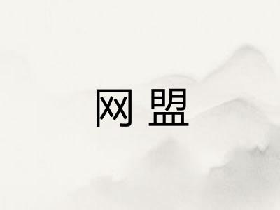 网盟