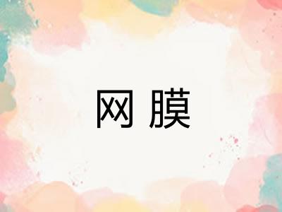 网膜