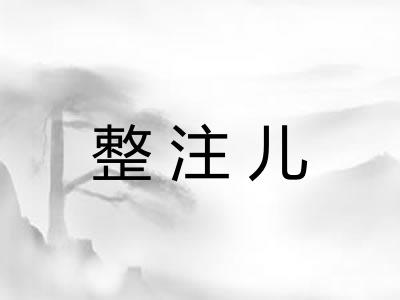 整注儿