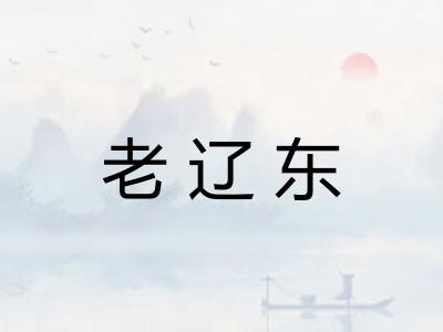 老辽东