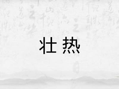 壮热