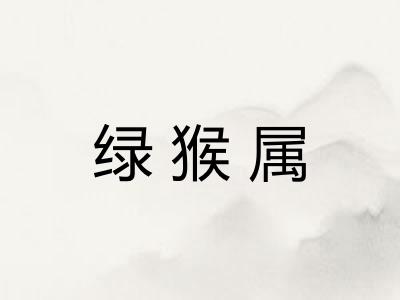 绿猴属