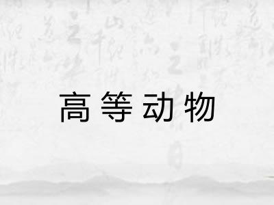 高等动物