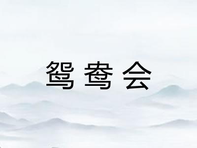鸳鸯会