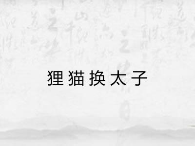 狸猫换太子