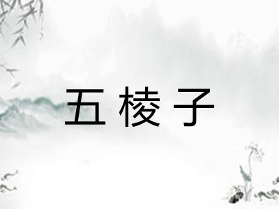 五棱子