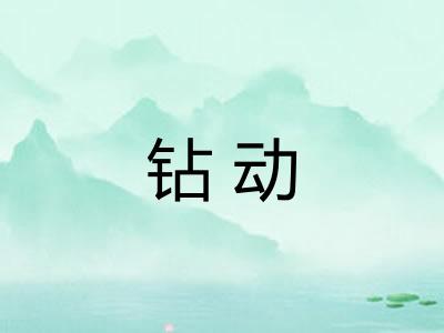 钻动
