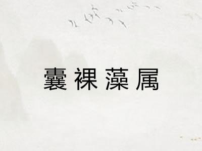 囊裸藻属