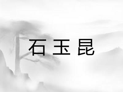 石玉昆