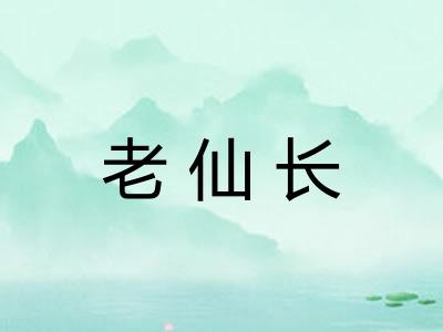 老仙长
