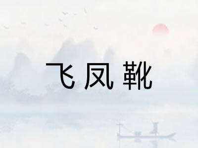 飞凤靴