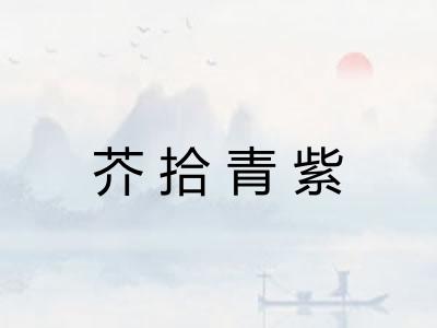 芥拾青紫