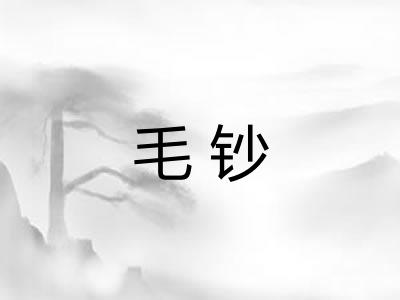 毛钞