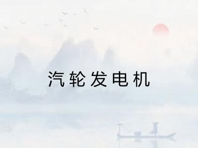 汽轮发电机
