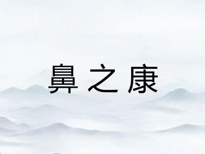 鼻之康