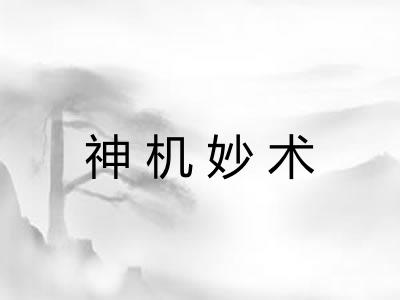 神机妙术