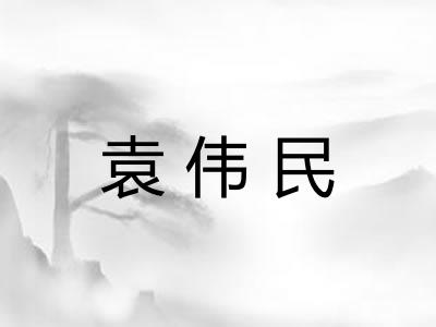 袁伟民