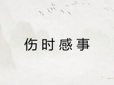 伤时感事